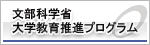 文部科学省 大学教育推進プログラム